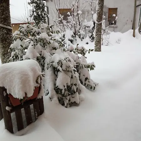 Ca Ciari Casa Vacanze * Vidiciatico